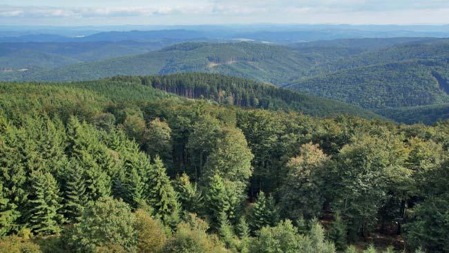 (MG) Přírodní rezervace Kelčský Javorník Přírodní rezervace Kelčský Javorník představuje lesní porosty pralesovitého charakteru na příkrém severním úbočí nejvyššího vrcholu Hostýnských vrchů,