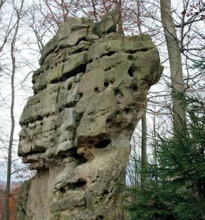 (MG) Přírodní památka Kozel Přírodní památka Kozel je věžovitá izolovaná skála v sedle hlavního hřbetu Chřibů, asi 800 m jihovýchodně od zříceniny hradu Cimburk, nedaleko červeně značené turistické