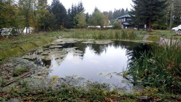 (TS) Přírodní památka Nádrž Tesák Přírodní památku Nádrž Tesák představuje betonová nádrž a cca 7 m široký pás převážně náletových dřevin kolem hrany nádrže.