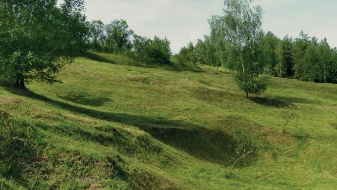 (PP) Přírodní památka Přehon Nachází se 0,1 km severovýchodně nad obcí Chvalnov na výslunném, převážně travnatém svahu s jihovýchodní expozicí v nadmořské výšce 340 360 m.