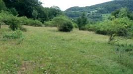 zi 2 bezejmennými pravostrannými přítoky říčky Rusavy pod vrchem Skalný (709 m n. m.), v nadmořské výšce 490 585 m, asi 500 m severovýchodně od obce Rusava, místní části Hořansko (kostel).