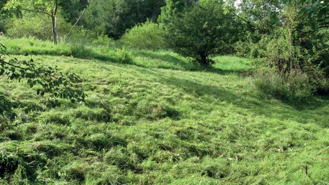 (TS) Přírodní památka Rusava Na skále Přírodní památka Rusava Na skále představuje luční pěnovcová prameniště obklopená lesními porosty, neudržovanými loukami, starým sadem a pastvinami.