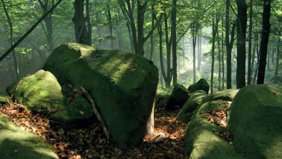 (MG) Přírodní rezervace Záskalí Přírodní rezervace Záskalí představuje zalesněné hřebenové partie Chřibů s vrcholem Kameňák (451 m n. m.) a také jeho severní a jižní svahy s četnými skalními útvary.