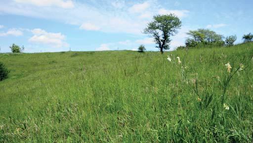 (PS) Přírodní památka Babí hora Stepní louky a pastviny 0,12 km jihozápadně od kóty Babí hora v nadmořské výšce 330 350 m n. m. v Boršické pahorkatině; katastrální území Hluk. Vyhlášeno v roce 1998.