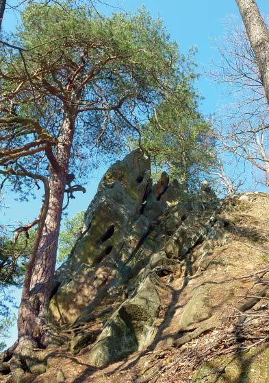 Hřbet, protažený zhruba ve směru jihozápad severovýchod, přechází v horní části v pískovcový hřeben s mrazovým srubem a strukturním svahem, kde se nacházejí i nejzajímavější skalní útvary, které se