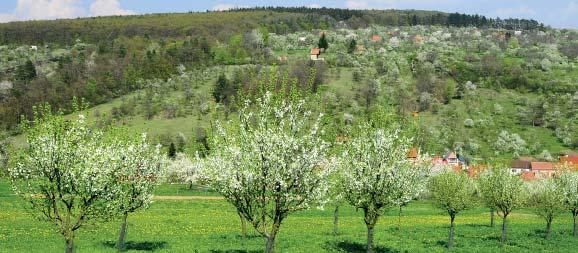 (PS) Přírodní rezervace Kovářův žleb Přírodní rezervaci Kovářův žleb tvoří travnaté a křovinaté stráně v členitém terénu s hluboce zařezaným žlebem. Nachází se na svazích kóty Myšince (353 m 