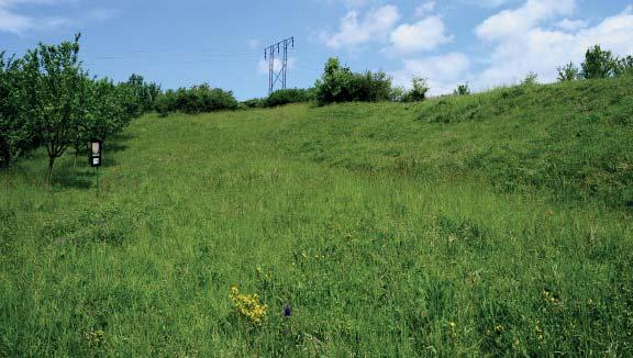 (PS) Přírodní památka Nádavky Louky a bývalé pastviny s teplomilnou flórou a faunou asi 1 km severně od obce Boršice u Blatnice. Nachází se na jižním úbočí kóty Nádavky (364 m 
