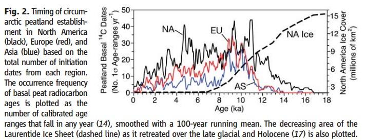 Starší holocén (11 500 9 000 BP) Starší holocén ve střední Evropě: mokřady - růst srážek podporuje rozvoj mokřadů, jež mají v naprosté většině minerotrofní