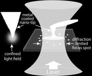 Tip-Enhanced Raman Scattering