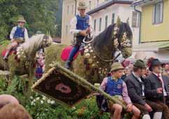 B61 Slavnost slunovratu a údolí Wachau Oslavy v nejkrásnějším údolí na Dunaji s vinicemi, kláštery a středověkými městečky. Ve dne plavba lodí po Dunaji, v noci ohňostroj a loučemi osvícené zříceniny.