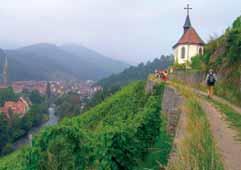 den: Alsasko vinná cesta: hrázděná alsaská městečka RIBEAUVILLÉ, půvabné městečko na úpatí tří hradů, renesanční kašny, hlavní město vína riesling, fakult.