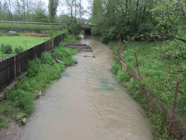 2016) na předmětné vodoteči ukazuje následující fotodokumentace po přívalových deštích ze dne 23.5.2016. ID 124 ID 135 Oblast Mydlovary: - ID 314 (Výpustní strouha z ČOV Mydlovary) Překročení vyšetřovacích úrovní pro U NAT bylo zjištěno v období od leden - duben 2016 (viz Tabulka č.