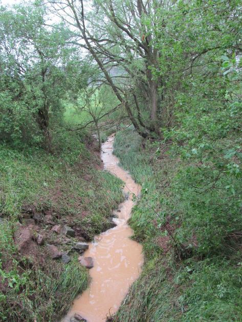 24.5.2016 18.8.2016 Oblast Zadní Chodov: Monitorování kumulace radionuklidů v sedimentech v r.