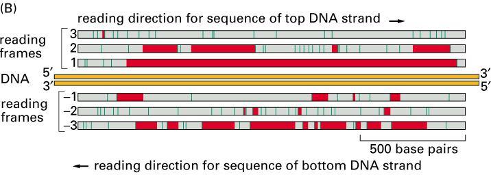 USD/genom Illumina, Knome, Sequenom, 454 Life Sciences, Pacific Biosciences, Complete Genomics, Intelligent Bio-Systems,