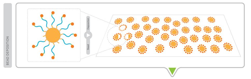 SOLiD Modifikace 3'-konců pro kovalentní vazbu na sklíčko pro sekvenování Nanesení kuliček Sklíčko je rozděleno na pole umožňující