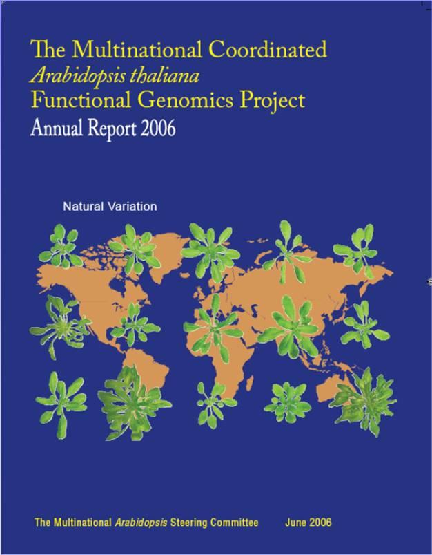 Functional Genomics Project: 2001-2010 Hlavní výsledky za prvních 5 let: 1) Upřesněna velikost genomu Arabidopsis: 146 Mbp (dnes jaderný: 132 Mbp) 2) Předpovězen počet genů kódujících proteiny: 26