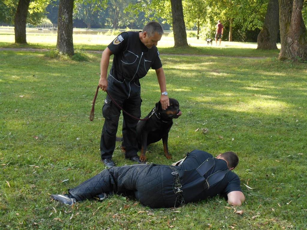 Foto: Městská police České