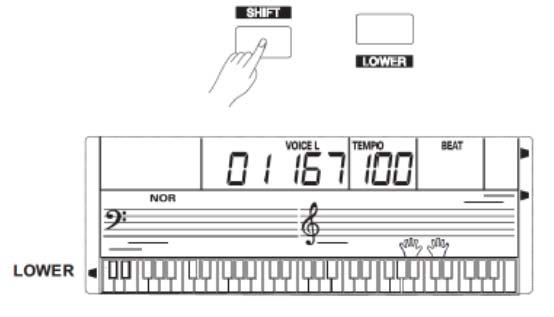 Funkce Lower Funkce Lower rozdělí klaviaturu na spodní a horní část pro levou a pravou ruku, ve kterých znějí rozdílné rejstříky. Rejstřík levé ruky je označen jako VOICE L.