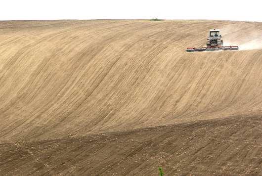 Vhodná opatření pro ochranu půdy Doporučené zásady sestavení osevních postupů výběr plodin a jejich zastoupení v OP musí akceptovat stanovištní podmínky struktura plodin musí umožňovat střídání