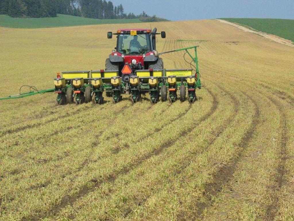 14 Setí do mulče meziplodin Jedná se o jednu z hlavních variant