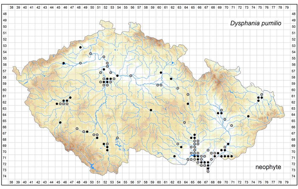 Distribution of Dysphania pumilio in the Czech Republic Author of the map: Zdeněk Kaplan, Pavel Dřevojan, Kateřina Šumberová Map produced on: 05-05-2017 Database records used for producing the