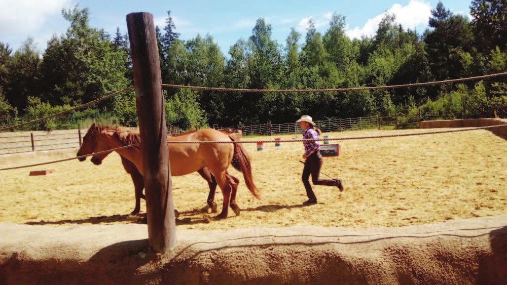 odnesly spoustu nových a skvělých zážitků, a "mto moc děkujeme všem, kteří na tento výlet finančně přispěli. Renata Hrbáčková, učitelka Výlet na Vendelín Červen je měsíc výletů a jeden výlet nestačí.