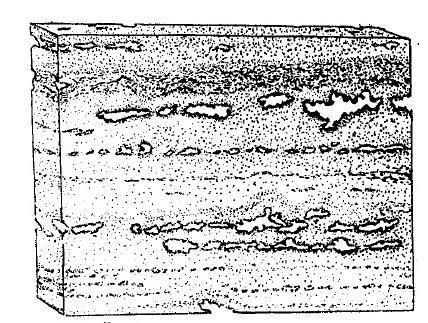 2. 4. Textura vápenců Vápence mají všesměrnou i rovnoběžnou stavbu. Běžným texturním znakem je vrstevnatost (Obr. 4), která je nejčastěji deskovitá a lavicová.