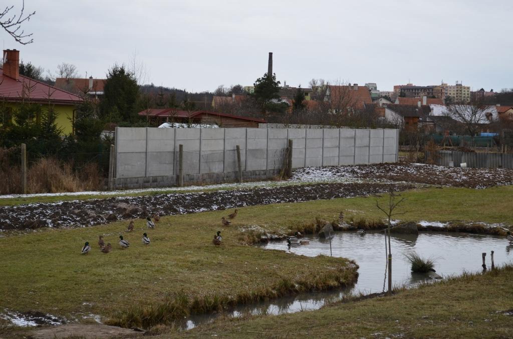 AVIÁRNÍ INFLUENZA (foto