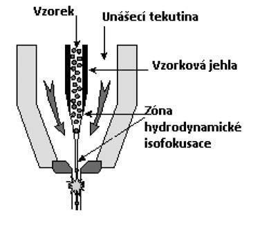 určení počtu červených krvinek (RBC)