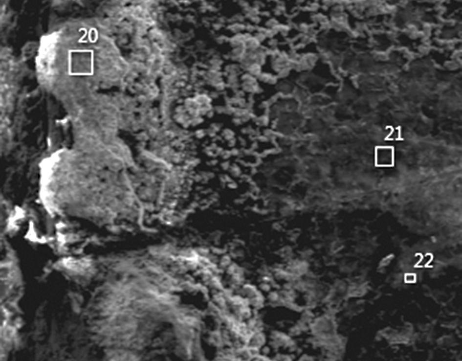 Svítidlo bylo tvořeno pásem LED diod, umístěných v pravidelných intervalech na tenké kovové folii z měděného plechu, která slouží jako přívod napětí. Celý pás je vložen do pružné plastikové trubice.