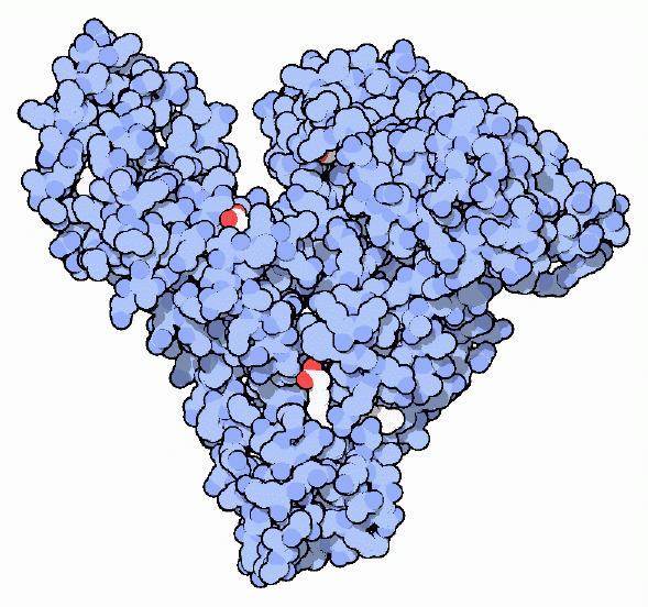 Albumin BCP pro cobas c 501/ c 311 eliminuje a výsledků s porovnáním s BCG lépe