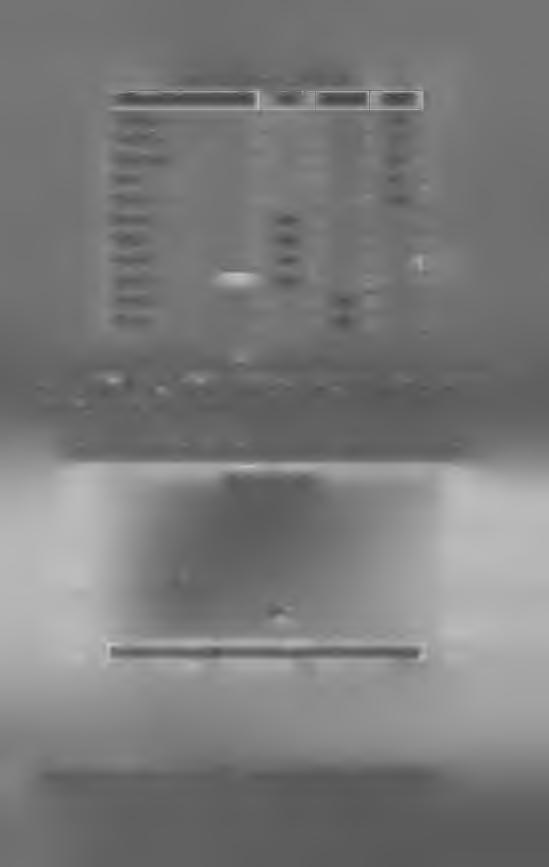 Tab. 4.