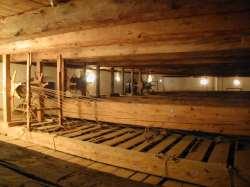 Příčiny kontaminace Převažující materiál v interiéru barokního divadla: dřevo Následek narušení pravidelného