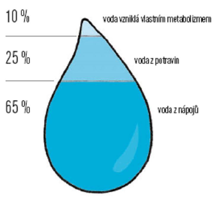 Díl 8. Priorita šestá PITNÝ REŽIM Pitný režim znamená pravidelný a současně dostatečný přívod vhodných tekutin v průběhu dne.