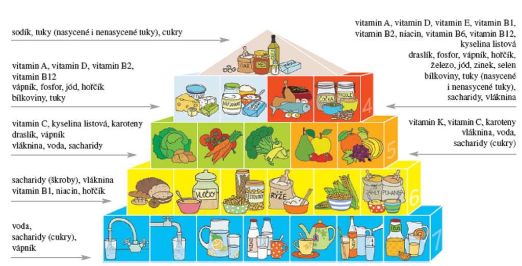 Jako síto pro tok informací typu co se ví o potravinách skvěle poslouží webové stránky Ministerstva zemědělství Informačního centra bezpečnosti potravin. Proč používáme Pyramidu výživy pro děti?