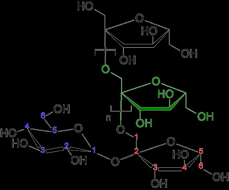 Struktura Systematický název: β-(1,2)-fruktóza Sumární vzorec: C 6n H 10n+2 O 5n+1 Polymer složený z jednotek fruktózy