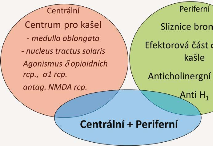 farmakoterapie Kašle ve zkratce EXTRAKTY MATEŘÍDOUŠKY OBECNÉ, TYMIÁNU OBECNÉHO hlavní obsahové látky: silice (až 2,5%, thymol a karvakrol, p-cymol, limonen, linalool), třísloviny, flavonoidy a