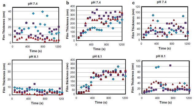 PŘEHLED SOUČASNÉHO STAVU POZNÁNÍ je v hodnotách tloušťky filmu značný rozptyl, při vyšším ph (8,1) se tloušťka filmu zformovaného na počátku testu již dále nijak výrazně neměnila.
