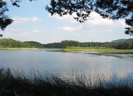 Požadavky na charakter žadatele se různí dle jednotlivých opatření zejména se jedná o zemědělsky nebo lesnicky hospodařící subjekty, dále též obce, neziskové organizace místní akční skupiny atd.