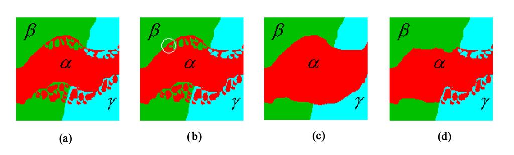 Obr. č. 3.5 Ilustrační ukázka ráce algoritmů založených na large moves. Obrázek (a) ukazuje segmentovaný obraz.