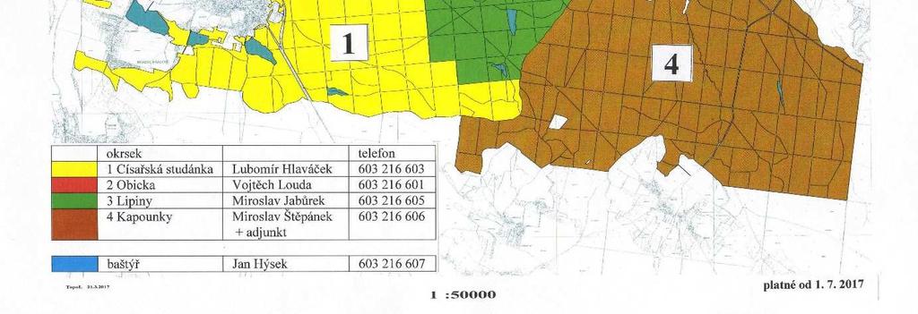 Jednotlivé etapy těžby jsou vždy závislé na ploše odlesnění, které je plánováno v etapách o výměře od cca 1,5 ha do cca 4 ha.