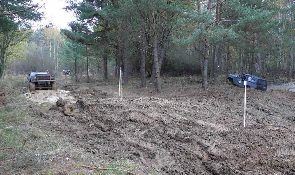 strojním stržení drnu (úpravě povrchu) na ploše nejméně 2200 m 2, a zejména v řízených offroadových jízdách za účelem narušení drnu a obnovy drobných tůní na více částech území.