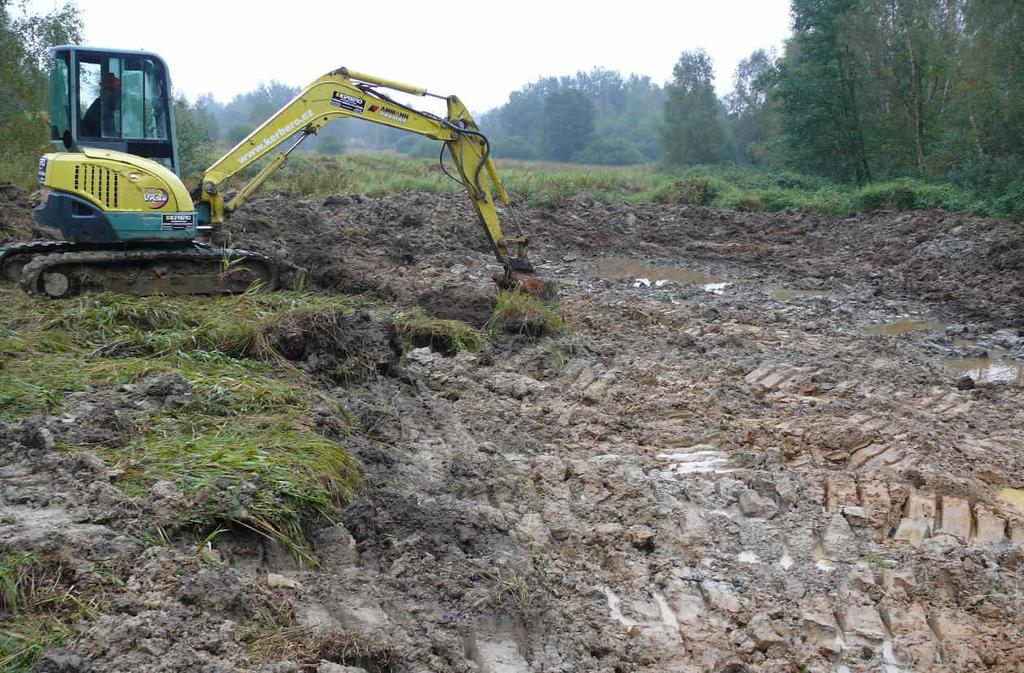 Za podpory programu POPFK zde proběhlo kácení náletových dřevin na celkové ploše 2570 m 2, strojně byly zbudovány tůně o velikostech 260, 35 m 2 a několik mikrotůní a strojně