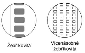 Teorie: Chlup se skládá ze tří vrstev: z dřeně, kůry a povrchové kutikuly (Obr. 1). Nejdůležitějším identifikačním znakem je stavba dřeně.