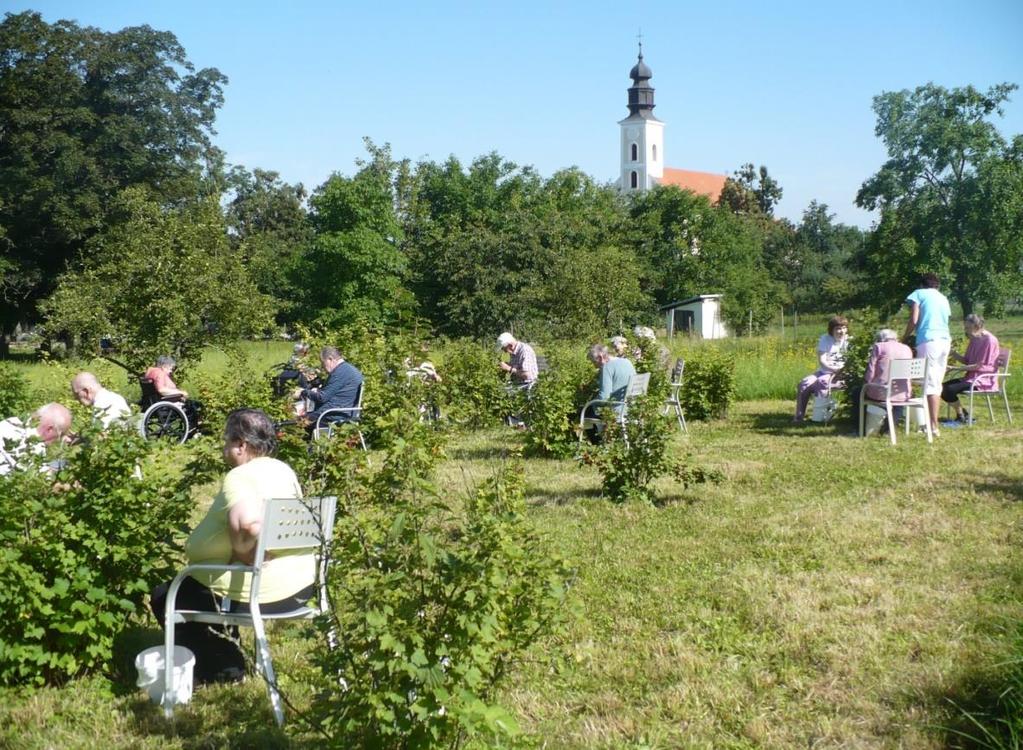 Budihry 20.7.2016 jsme se opět na pozvání Domova seniorů Budíškovice zapojili do Budiher. Náš domov reprezentovali paní Marie Machovcová, pan Viktor Baštář, pan Stanislav Novák.