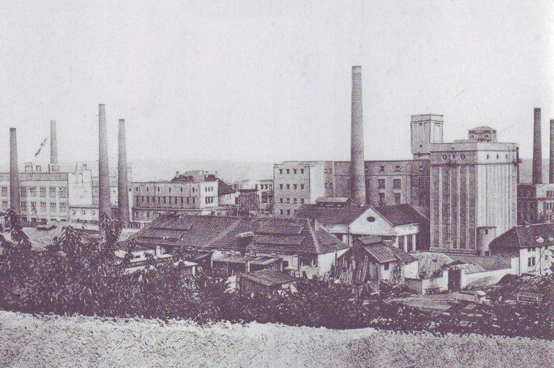 Obrázek 30: Odkolkovy mlýny, před 1922, pohled od