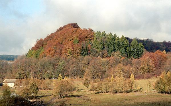 Vegetace a flóra Bučiny a suťové lesy Jedlobučiny byly přirozenou vegetací většiny území CHKO, dodnes se však zachovaly jen lokálně.