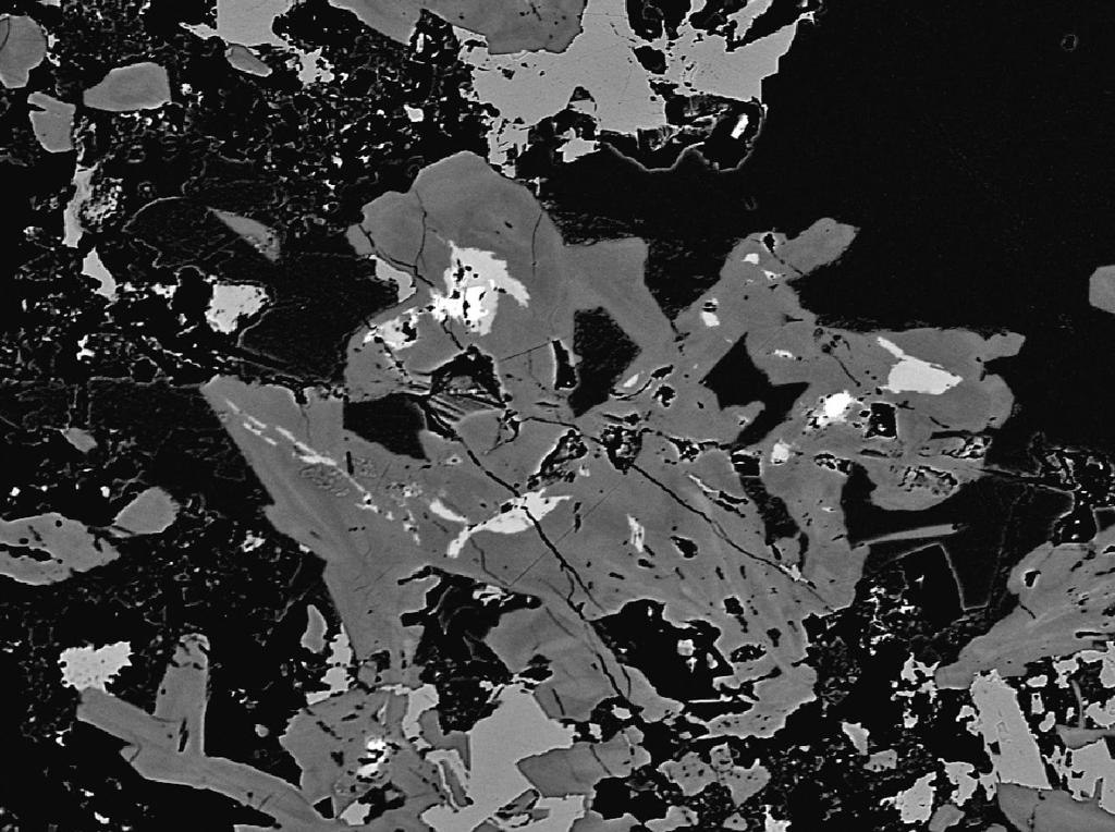 250 Bull. mineral.-petrolog. Odd. Nár. Muz. (Praha) 20, 2, 2012. ISSN 1211-0329 (print); 1804-6495 (online) Obr.