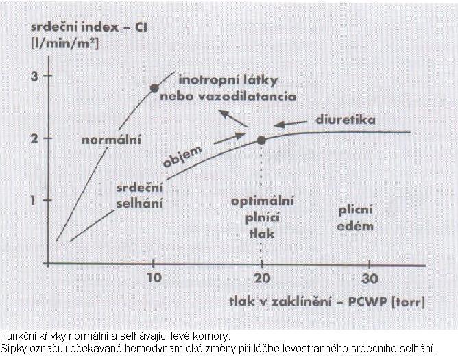 Základní farmaka používaná v terapii kardiogenního šoku jsou látky s pozitivně inotropním účinkem (dobutamin), v případě závažné hypotenze způsobující nedostatečné zásobení koronárních arterií,