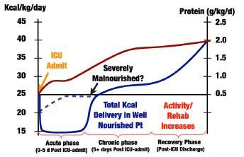 anabolická strategie v průběhu kritického stavu a uzdravování akutní